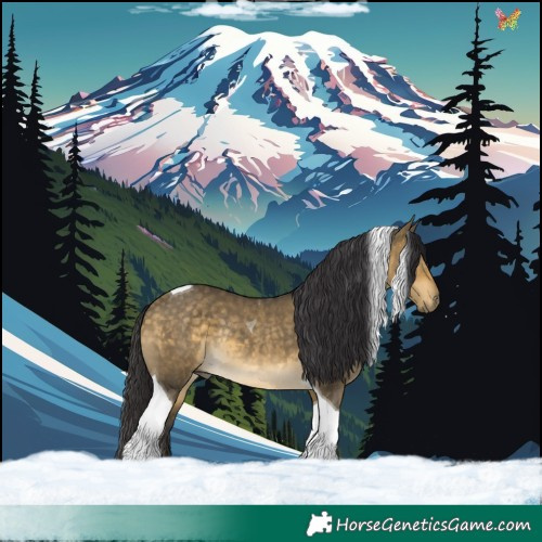 Horse Color:Buckskin Dun Tobiano Rabicano