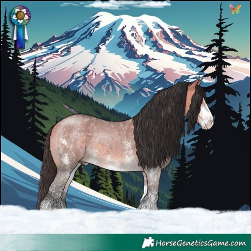 Horse Color:Buckskin Dun Sabino Rabicano