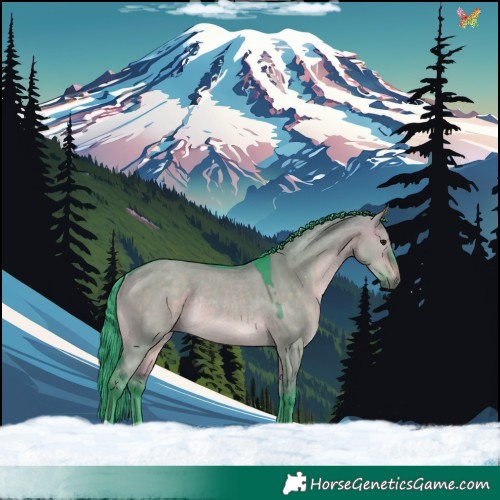 Horse Color:Watercolor Brown Dun Rabicano