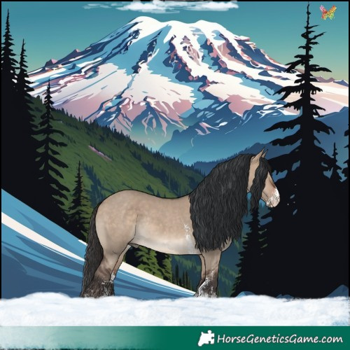 Horse Color:Brown Dun Sabino Rabicano