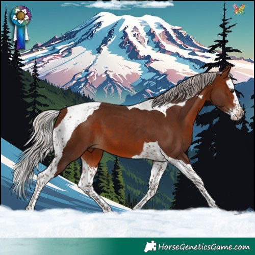 Horse Color:Silver Brown Splash Tobiano