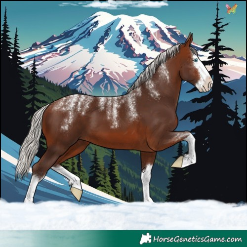 Horse Color:Powder White Silver Brown Splash