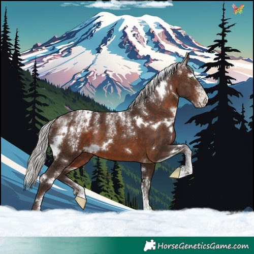 Horse Color:Powder White White Spotted Silver Brown 