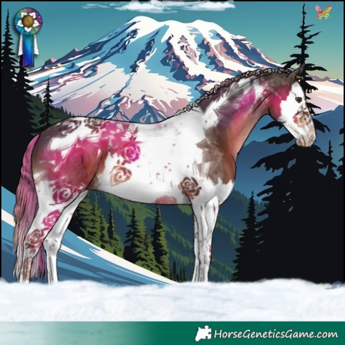 Horse Color:Liver Chestnut Splash Tobiano