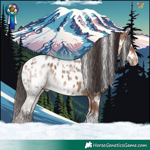 Horse Color:Powder White White Spotted Amber Champagne Appaloosa