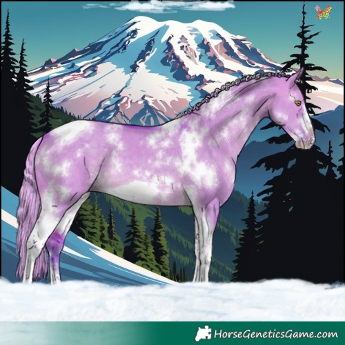 Horse Color:Watercolor White Spotted Silver Brown Dun Tobiano Frame Rabicano