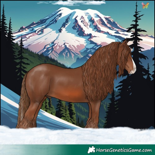 Horse Color:Chestnut Splash 