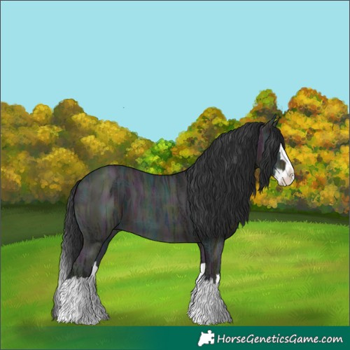 Horse Color:Midnight Brown Ice Dun Splash 