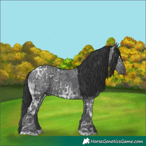 Horse Color:Black Ice 