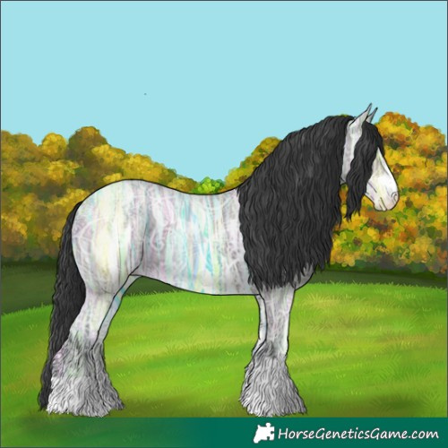 Horse Color:Grullo Ice 