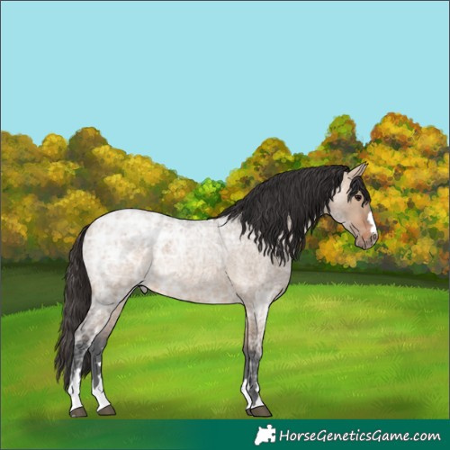 Horse Color:Bay Ice Roan Dun
