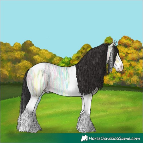 Horse Color:Brown Ice Dun Splash Tobiano