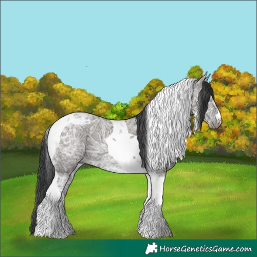 Horse Color:Grullo Ice Tobiano