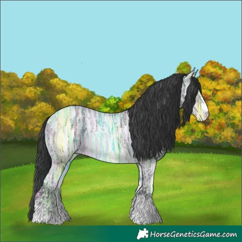 Horse Color:Black Ice