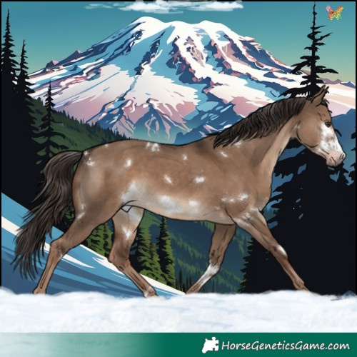 Horse Color:White Spotted Liver Red Dun Frame