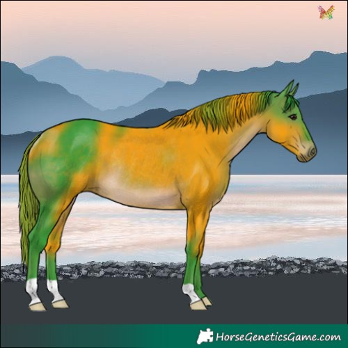 Horse Color:Watercolor Brown Rabicano