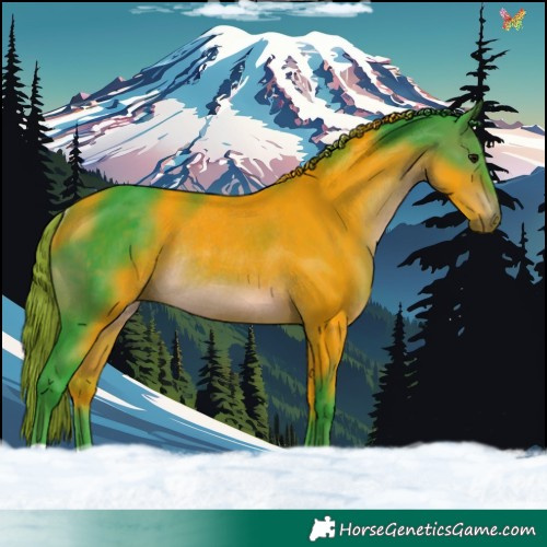 Horse Color:Watercolor Brown Rabicano 