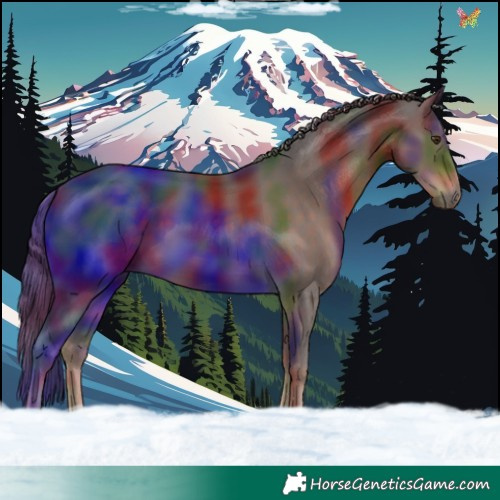 Horse Color:Nacre Liver Chestnut