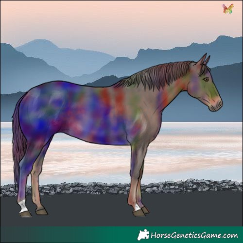 Horse Color:Nacre Liver Chestnut
