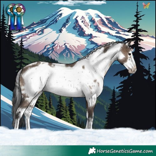Horse Color:White Spotted Brown Dun Frame
