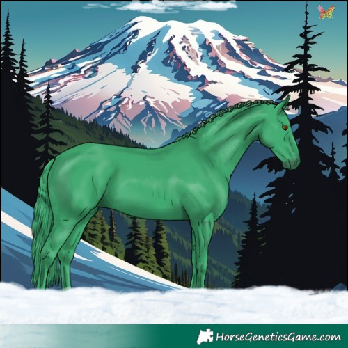 Horse Color:Watercolor Black 