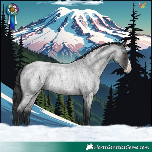 Horse Color:Blue Roan Frame Rabicano