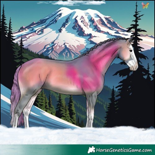 Horse Color:Watercolor Blue Onyx Splash 