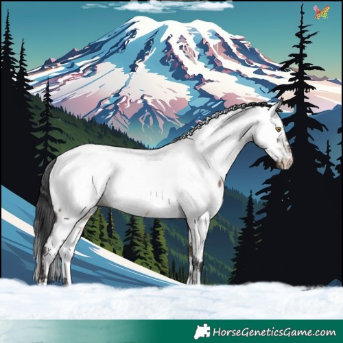 Horse Color:White Spotted Brown Dun Appaloosa Rabicano