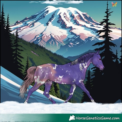 Horse Color:Watercolor White Spotted Black 