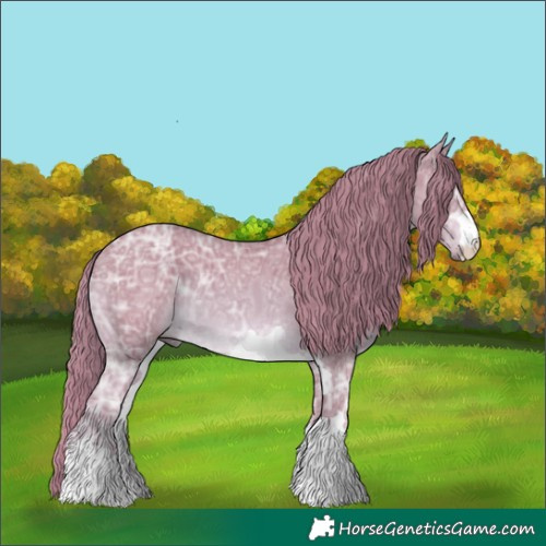 Horse Color:Watercolor Chestnut Ice 