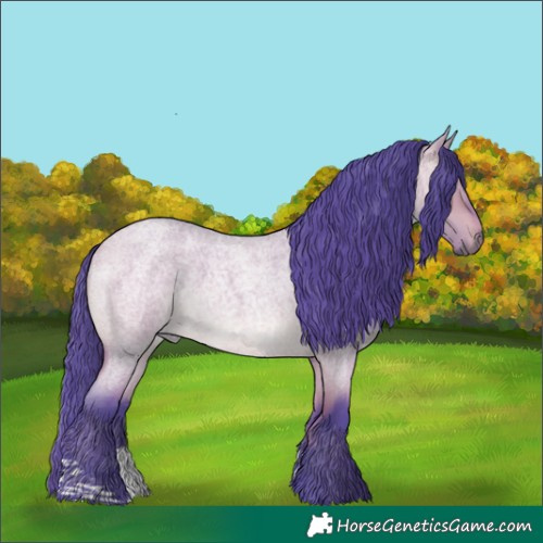 Horse Color:Watercolor Bay Roan Dun