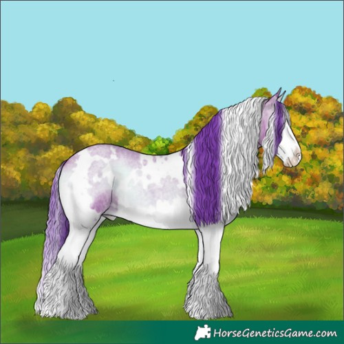 Horse Color:Watercolor White Spotted Bay Roan Onyx Splash