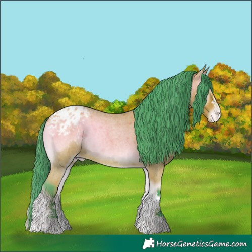Horse Color:Watercolor Bay Roan Onyx Appaloosa 