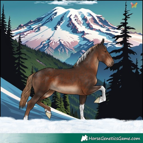 Horse Color:Liver Chestnut Tobiano