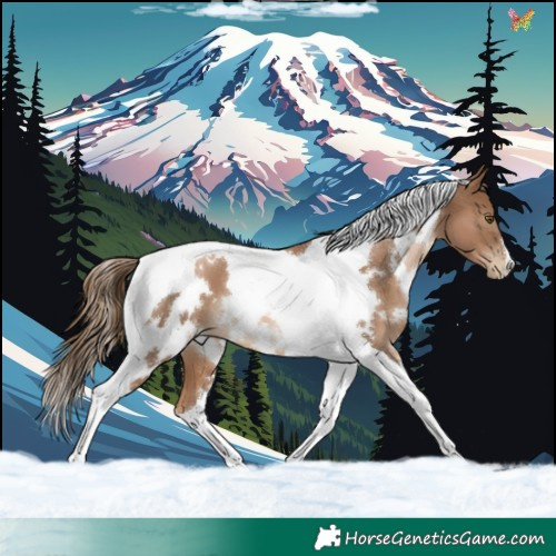 Horse Color:White Spotted Liver Chestnut Pearl Tobiano