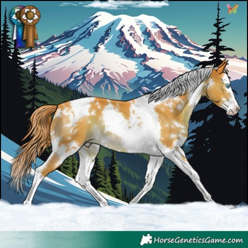 Horse Color:Watercolor White Spotted Liver Chestnut Splash Tobiano 