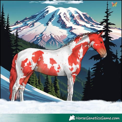 Horse Color:Watercolor White Spotted Liver Chestnut Tobiano Rabicano