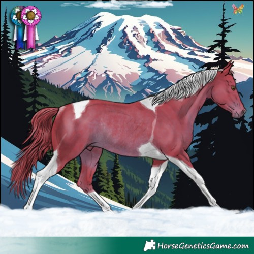 Horse Color:Watercolor Liver Chestnut Tobiano Rabicano 