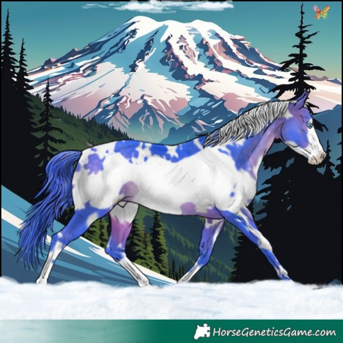 Horse Color:Watercolor White Spotted Brown Frame