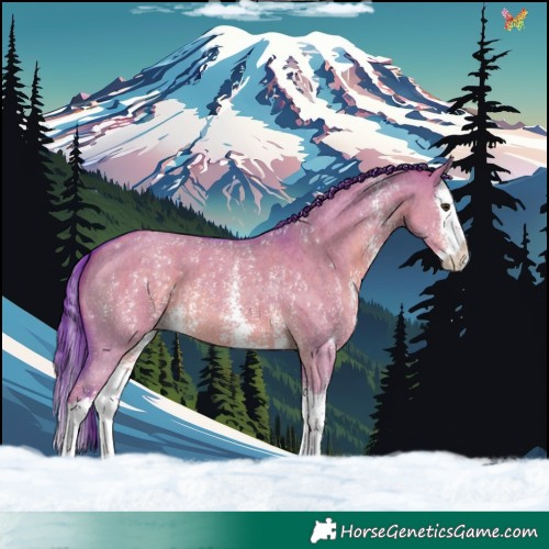 Horse Color:Watercolor Liver Red Dun Sabino Splash