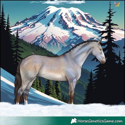 Horse Color:Liver Red Dun Rabicano