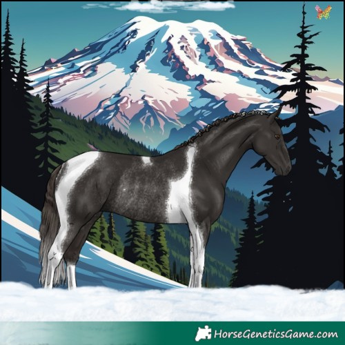 Horse Color:Liver Chestnut Tobiano Rabicano 