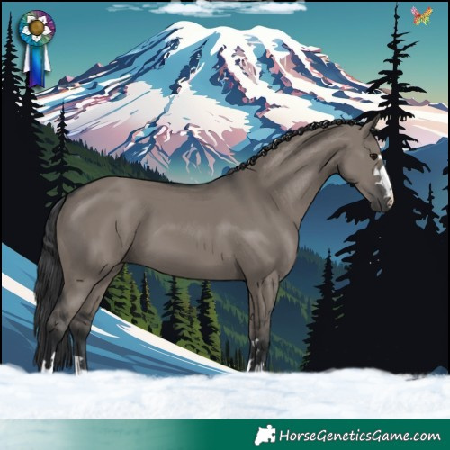 Horse Color:Grullo