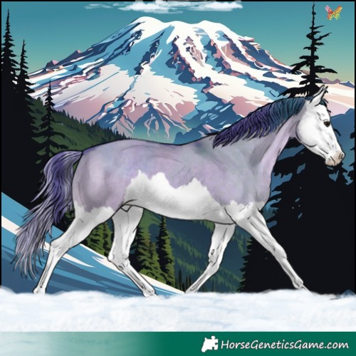 Horse Color:Watercolor Brown Dun Splash 
