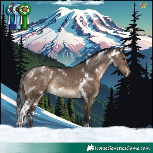 Horse Color:White Spotted Brown Dun Rabicano