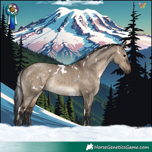 Horse Color:White Spotted Brown Dun Rabicano