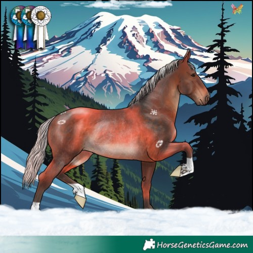Horse Color:Silver Brown Rabicano
