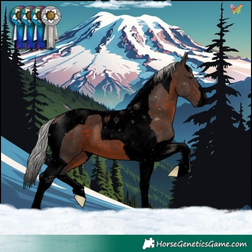 Horse Color:Void Silver Brown Tobiano