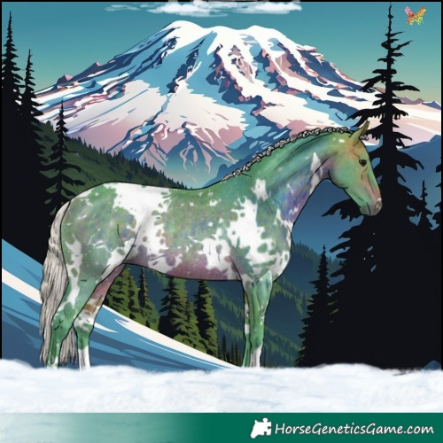 Horse Color:Watercolor White Spotted Silver Brown Rabicano