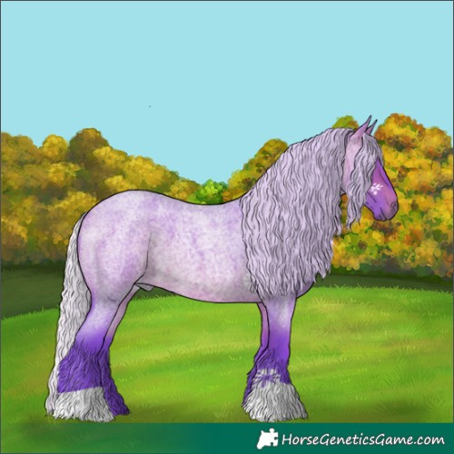 Horse Color:Watercolor Silver Bay Roan 